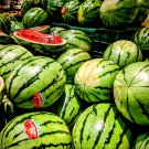 Lazy Melon King Watermelon red Meat Garden Balcony Potted Fruit 30 PCS Seeds Lazy Melon King Watermelon red Meat Garden Balcony Potted Fruit 30 PCS Seeds
