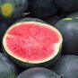 Long Big Black Skin Pink Watermelon Fruit 8 PCS Seeds
