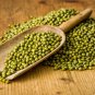 Kidney Bean Green Bean Vegetables 10 PCS Seeds