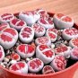 karasmontana 'Top Red' Succulents Garden Plants 100 PCS Seeds