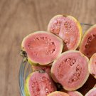 Apple Guava (Psidium Guajava) 20 PCS Seeds Apple Guava (Psidium Guajava) 20 PCS Seeds