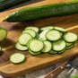 Short Green Cucumber Organic 20 PCS Seeds