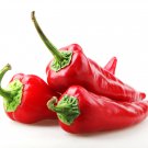 Sweet Pepper Ox Ear red green pepper organic non gmo 600 PCS Seeds Sweet Pepper Ox Ear red green pepper organic non gmo 600 PCS Seeds