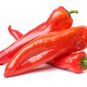 Sweet Pepper Ox Ear red green pepper organic non gmo 600 PCS Seeds