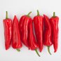 Sweet Pepper Ox Ear red green pepper organic non gmo 600 PCS Seeds