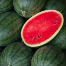 Zhengzha No.5 Big Long Red Watermelon 40 PCS Seeds Zhengzha No.5 Big Long Red Watermelon 40 PCS Seeds