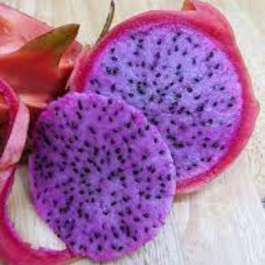Heirloom Purple Dragon Fruit - 50 Seeds
