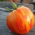 Heirloom Red Zebra Tomato with Golden Stripe Organic - 100 Seedss