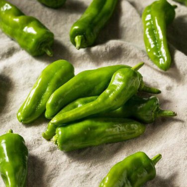Heirloom Light Green Long 'Sheep Horn' Sweet Pepper Vegetable-  20 Seeds