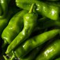 Heirloom Light Green Long 'Sheep Horn' Sweet Pepper Vegetable- 20 Seeds