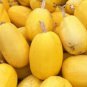 Heirloom Spaghetti Squash Vegetable - 30 Seeds