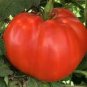Heirloom 'Strawberry' Tomato - 100 Seeds