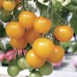 Heirloom Tumbling Tom Yellow Cherry Tomato - 100 Seeds