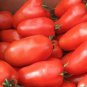Heirloom Ukraine Kibits Tomato - 50 Seeds