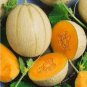 Heirloom White Sticky Sweet Melon - 200 Seeds