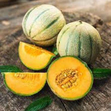 Heirloom Yellow Green Sticky Sweet Melon - 200 Seeds
