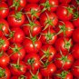 'Red Flat Peach' Indeterminate Tomato Organic - 300 Seeds