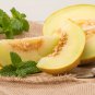 Japan Maite Sweet Melon Seeds Very Delicious Muskmelon - 100 Seeds