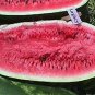 High Yields Legacy Long Red Watermelon - 20 Seeds