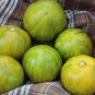 Middle Yellow Tomato with Light Yellow Stripe Organic  - 300 Seeds