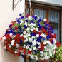 Mixed Colorful Hanging Garden Petunia Flower - 200 Seeds