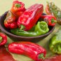 Giant Marconi Pepper Organic - 100 Seeds