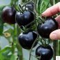 Black Pearl Tomato - 200 Seeds