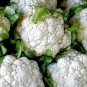 Heirloom Natural Health White Broccoli Cauliflower - 50 Seeds