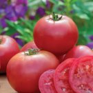 High Yield Tomato Big Pink Red Hybrid - 10 Seeds High Yield Tomato Big Pink Red Hybrid - 10 Seeds
