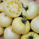 Hot Sale White Tomato Seeds for Home Garden Bonsai Fruits - 100 Seeds Hot Sale White Tomato Seeds for Home Garden Bonsai Fruits - 100 Seeds