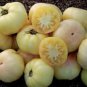 Hot Sale White Tomato Seeds for Home Garden Bonsai Fruits - 100 Seeds