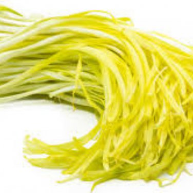 Hotbed Chives Chinese Yellow Chives NON-GMO Great Vegetables - 50 Seeds