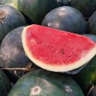 Hybrid Black Skin Oval Shape Watermelon - 10 Seeds