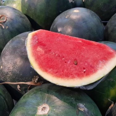 Hybrid Black Skin Oval Shape Watermelon - 10 Seeds