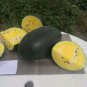 Hybrid Black Skin Round Shape Yellow Meat Seedless Watermelon - 10 Seeds