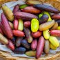 Ice Pink Finger Fruit Lime - 20 Seeds