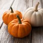 'Imperial Crown' Pumpkin Ornamental Squash - 8 Seeds