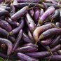 Imported Japanese Early Black Long Eggplant Vegetable - 300 Seeds