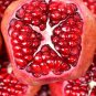 Imported Rose Red Finger Lime Pomegrante Plant - 10 Seeds
