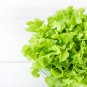 Italy Lettuce Organic Green Vegetable - 80 Seeds