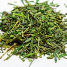 Japanese Green Tea - 100 Seeds Japanese Green Tea - 100 Seeds