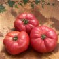 Japanese Pink Little Tomato 'Peach' Organic - 300 Seeds