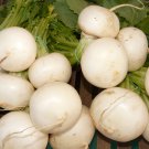 Hakurei F1 Turnip - 200 Seeds