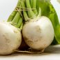 Hakurei F1 Turnip - 200 Seeds