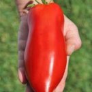 Jersey Devil Tomato - 100 Seeds