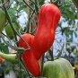 Jersey Devil Tomato - 100 Seeds