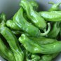 Jintai Thin Skin Early Maturing Big Pepper Vegetables - 1000 Seeds