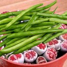 Kidney Bean Green Bean Vegetables - 10 Seeds Kidney Bean Green Bean Vegetables - 10 Seeds