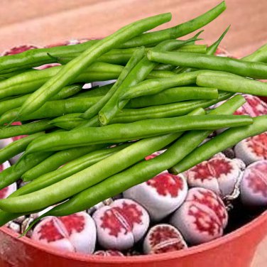 Kidney Bean Green Bean Vegetables - 10 Seeds