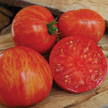 Large Tomato Glowing Gold Neon Red Stripes Fruits - 100 Seeds